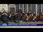 Concert Caritabil ”Inimi pentru inimi” la Catedrala Romano-Catolică